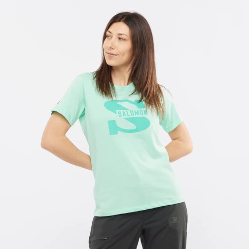 Camiseta Salomon Outlife Big Logo Corta Sleeve Mujer Verde Menta | MX QRBS956